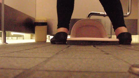         下撮り専門 潜入撮！女子便所を下からノゾク Vol.02
    