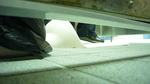         下撮り専門 潜入撮！女子便所を下からノゾク Vol.03
    