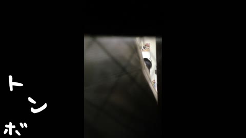         【美女達の私生活に潜入】【リアル盗撮】元◯ュディマリのY◯KI似 某歌手丸秘ヌード
    