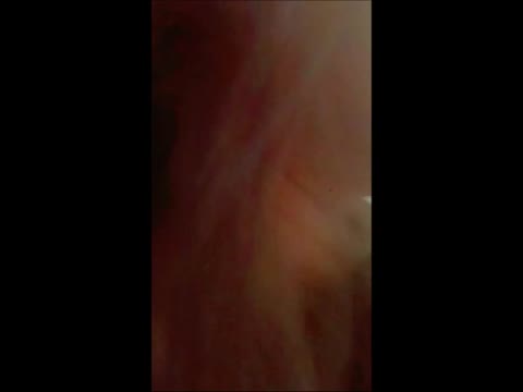         豪華☆みられたい系女子の個人通話＆ライブ配信 Part 2
    