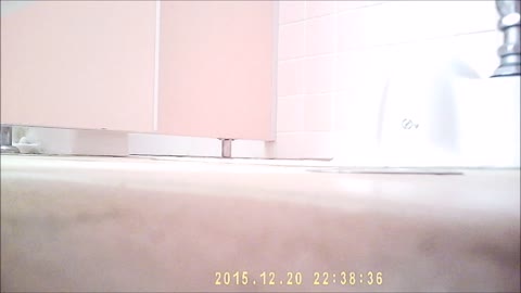         【再掲】覗き見！〇Cトイレ
    