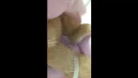         JCレイヤーとのエロイプ+α
    