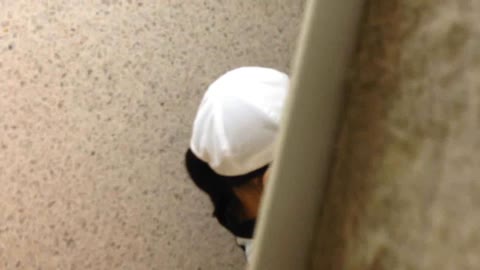         盗撮スポーツ娘の和式汚トイレ２
    