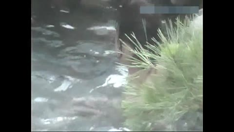         【素人】望遠温泉旅館★宿泊客のゆったり午後風呂♥入浴 パート16
    