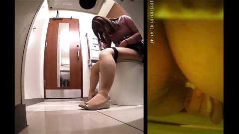         某ファッションンビルの女厠に潜入☆隠しカメラで秘密空間覗き見!
    