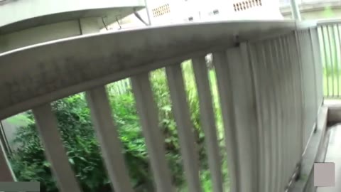         自撮り野外露出 14
    