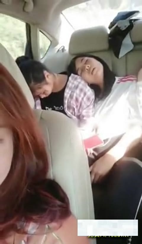         あなたの隣人は自家製 266
    