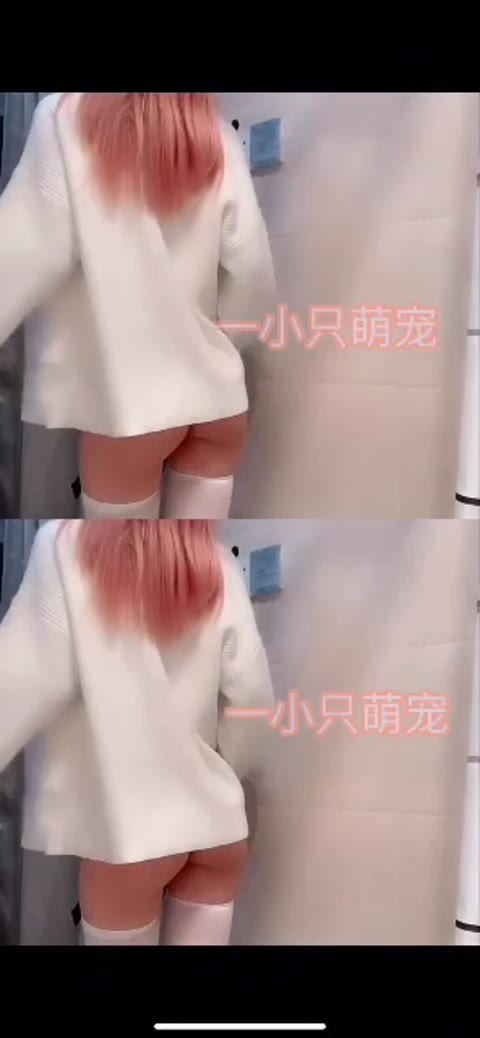         Digi-tents webcam 661
    