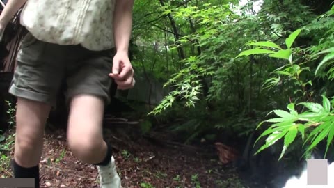         自撮り野外露出 11
    