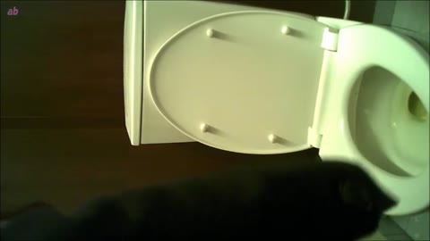         アブノーマルお兄さん(29)ベストセレクション下着姿美女は便器内カメラに極太うんち花道外撮りも全９名
    