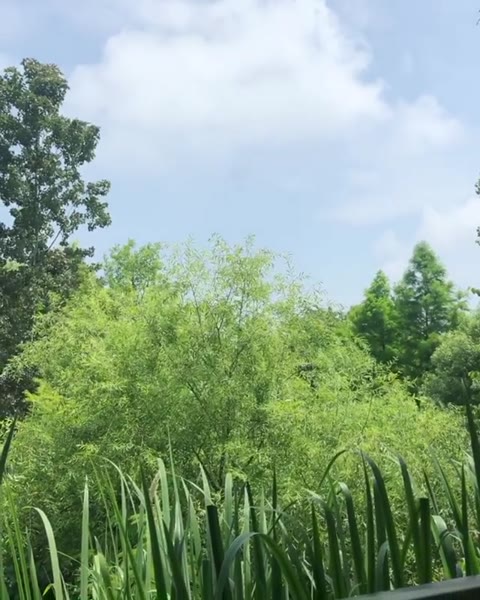         新婚夫婦セックスビデオ
    