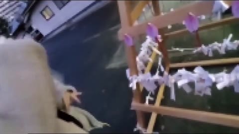         【無】県立高校に通うセフレと
    