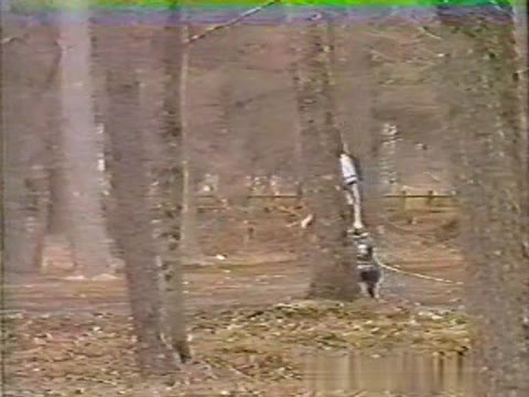         セーラー服無情
    