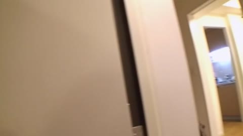         高級マンションに一人暮らし。お嬢様女子〇生あ●さちゃんに生挿入
    