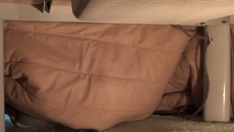         暖かい炬燵の中でさらにホットになった下半身を処理する妹
    