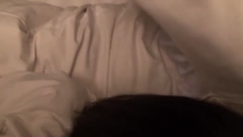         豊満おっぱいなのに童顔なあ〇ちゃんと援〇交際ラストは強制中出し
    