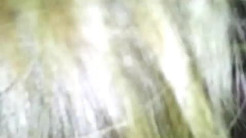         個人撮影。正統派イケメンとややビッチ美少女のセックス映像 １４本
    