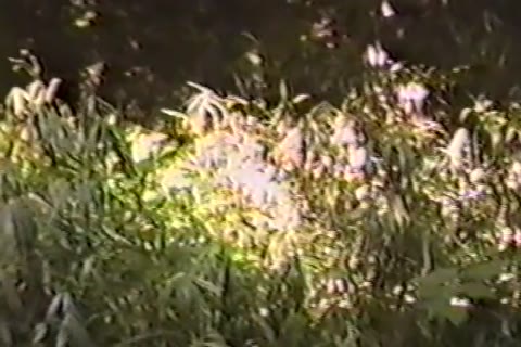         【個人撮影】素人 116
    