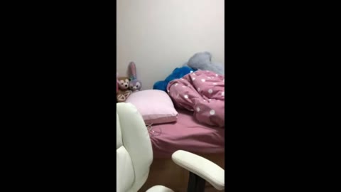         【初】成長段階
    