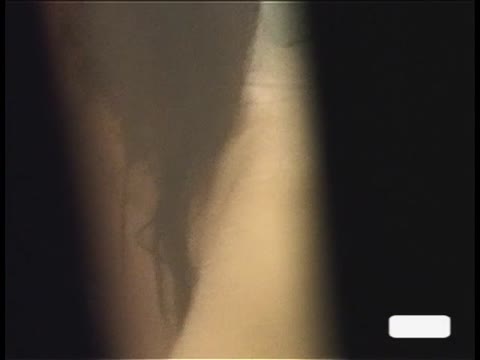         窓から見えた裸4
    