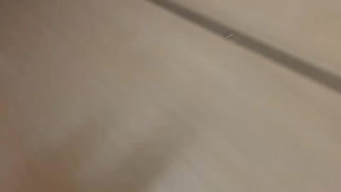         トイレ空撮【ストッキングお姉さん】
    