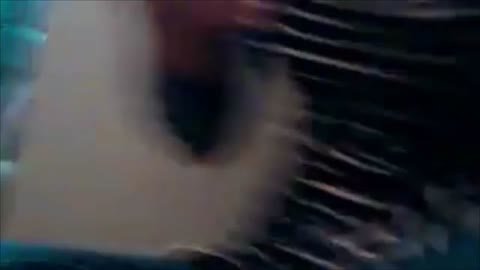         「谷間だけだよ」&amp;「はじめてお風呂で配信してます」
    