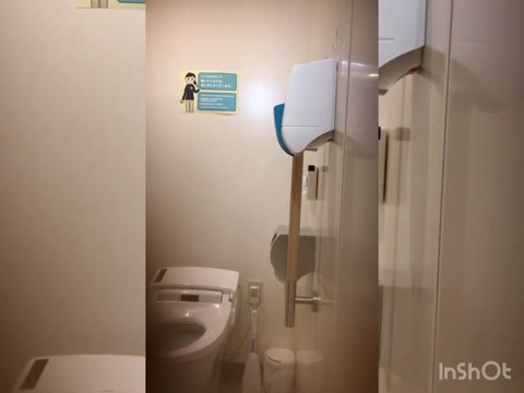         こっそり撮られたトイレ映像
    