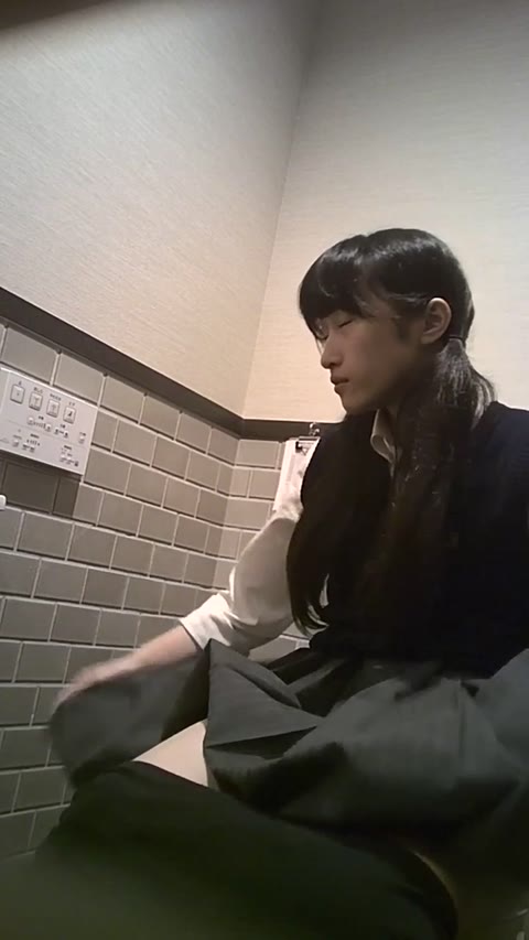         ＪＫのトイレ盗撮
    