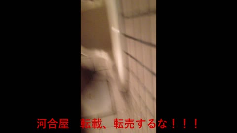         【期間限定】オリジナルトイレ20
    