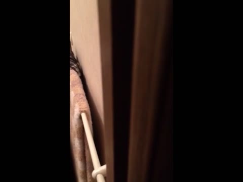         お泊り悪ふざけ…
    