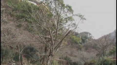         はい！みさきです
    