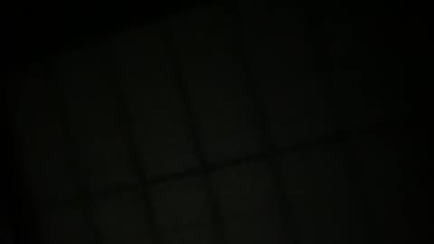         シャワー中に踊り出すスタイル良し薄毛女子
    