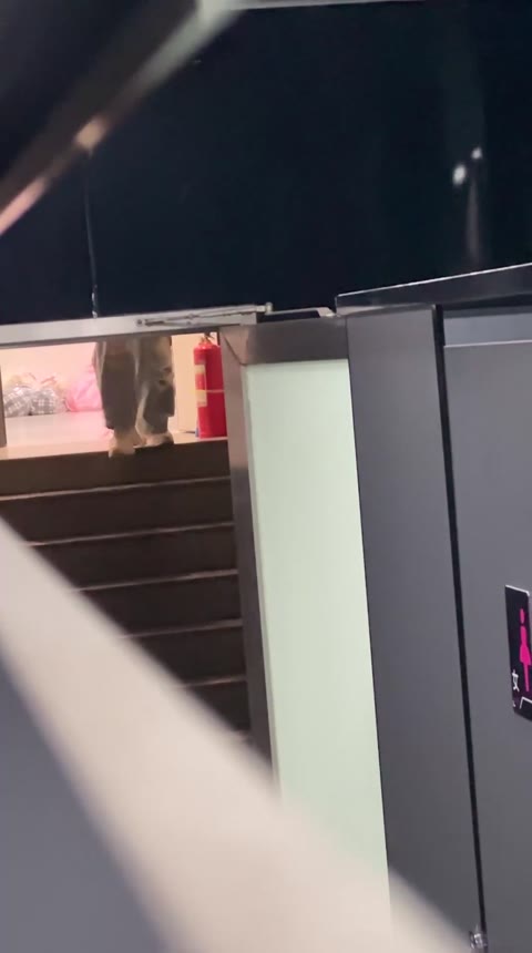         █Magic Hands☛外注█ 【ブティックトイレ写真】「Top Handheld」シリーズ 【某部屋オリジナル版】 85V
    