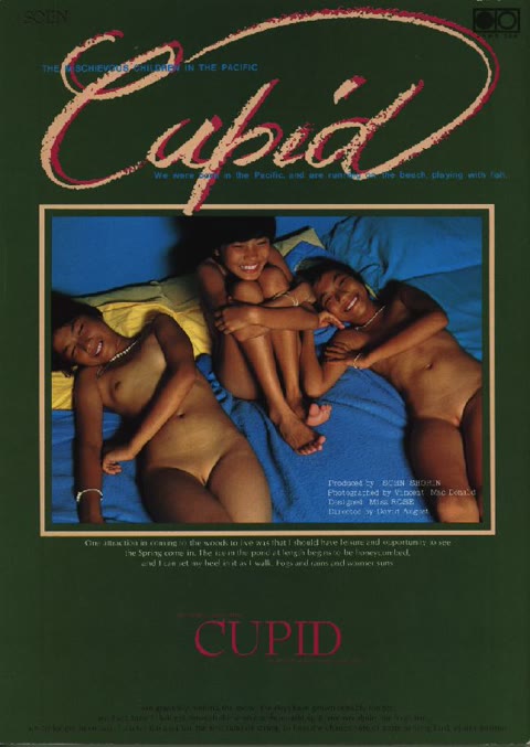         昭和写真集vol.19
    