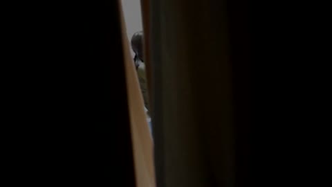         28105982 期間限定　1人暮らしJDの日常　13
    