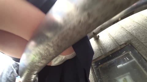         [制服JK]いろんなおパンツ vol.8[FHD]
    