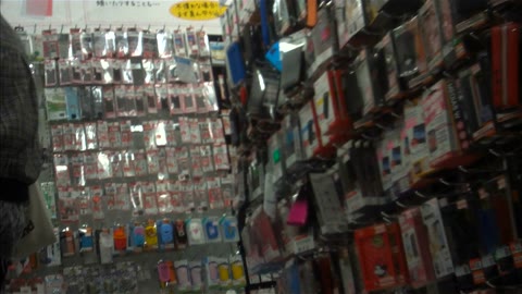         【そっと見る華】Vol.02 携帯カバーを夢中で選ぶ華
    