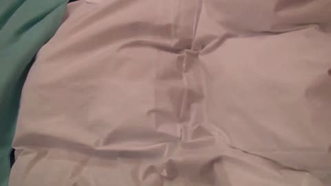         台湾の美人留学生を睡眠薬で眠らさせてイタズラ
    