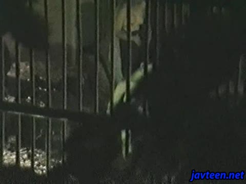         潜入盗撮。望遠カメラでスラッとした美女たちの脱衣所
    