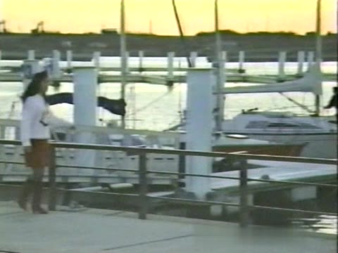         夢の中の快楽 島田香織
    