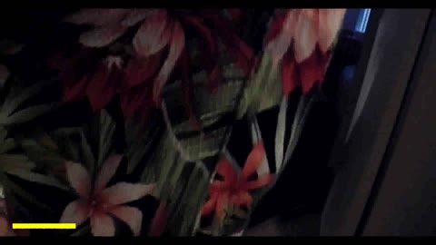         不法侵入。ストーキングレイプ。可愛いあの子の自宅へ潜入し・・・
    