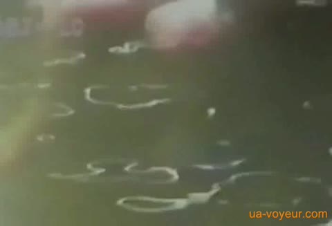         伝説の露天風呂(廃盤作品低価格）
    