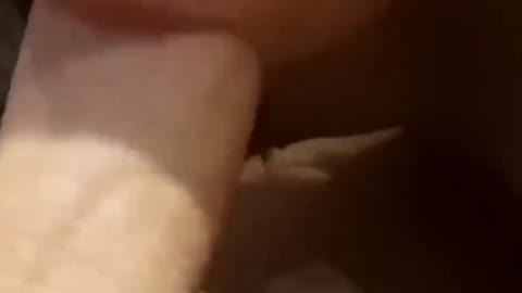         リークされた映像…
    