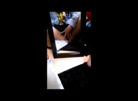         スマホ撮♪オナニーがやめられない系女子のヒミツ動画
    