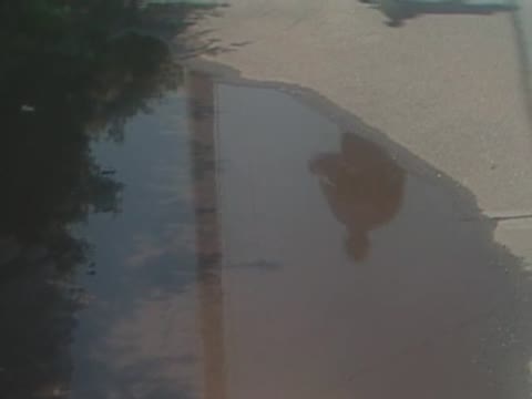         叫びと悦楽 樹まり子
    