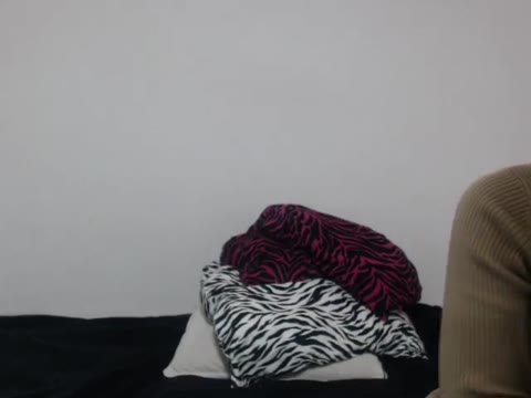         Digi-tents webcam 660
    