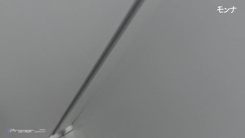         【美しい日本の未来222】珍しいものを見ました
    