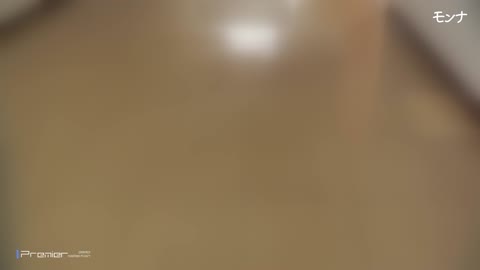         【美しい日本の未来220】2020一作目の淑女シリーズ　全員清楚感満点
    