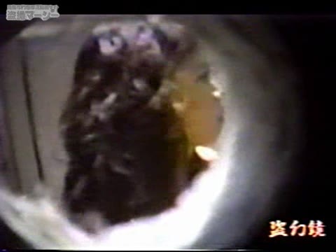         女子厠潜入レポート！　壁に穴を開けちゃいました　vol.03
    