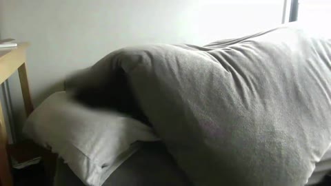         $60からのプレゼント商品IIIのプレビュー
    